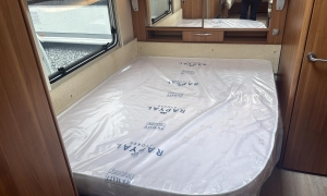 WhatsApp Image 2026-02-13 at 15.19.58